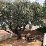 Palmitos *