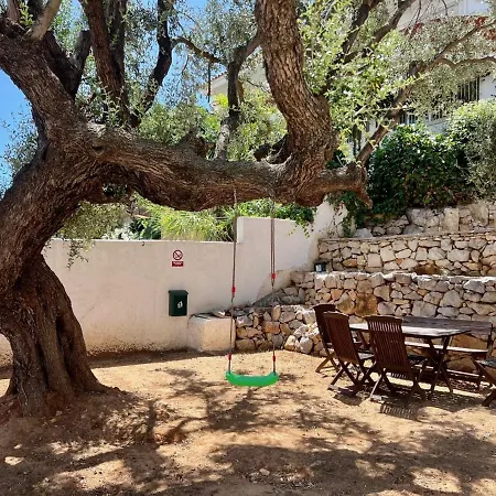 Palmitos Peñíscola
